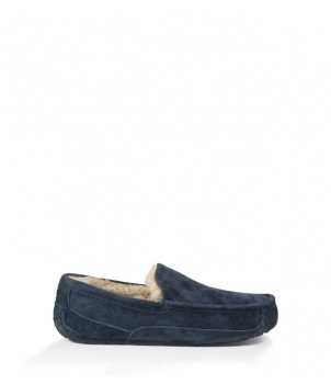 Mens Ascot - Suede Navy 5775